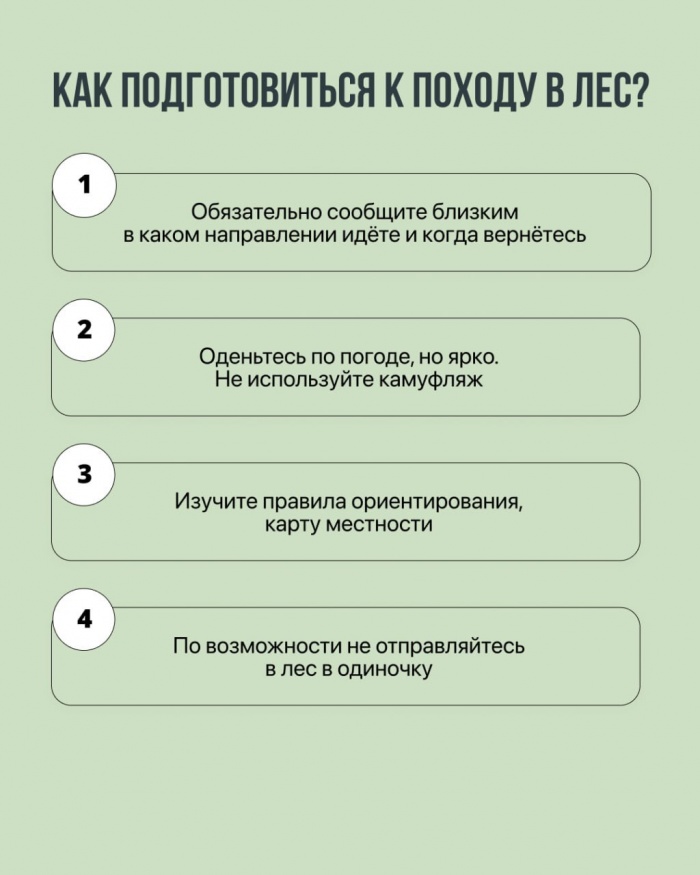 Тёплая осень — идеальное время для лесных прогулок