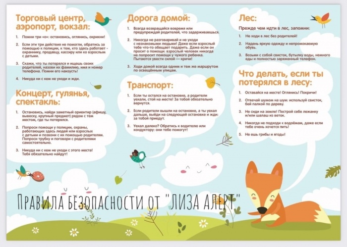 ЛЕТНЯЯ ИНСТРУКЦИЯ ДЛЯ РОДИТЕЛЕЙ ОТ «ЛИЗА АЛЕРТ»